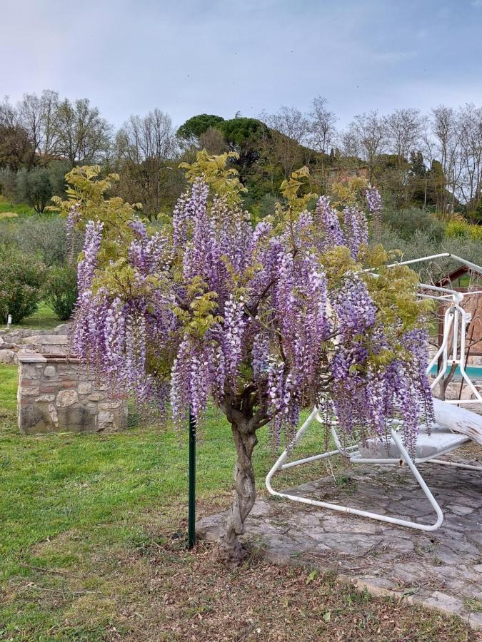 Agriturismo Camera Rosa Todi Exteriör bild